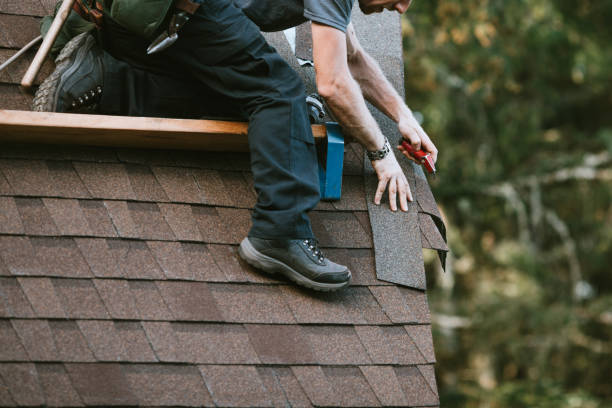 Best Local Roofing Companies  in St Charles, MN